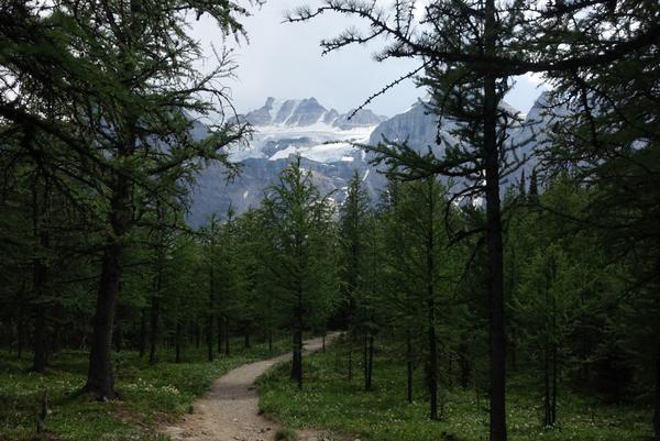 Canmore and Banff: Prelude